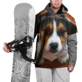 Накидка на куртку 3D с принтом Щеночек в Петрозаводске, 100% полиэстер |  | Тематика изображения на принте: dog | бигль | пес | собака | щеночек