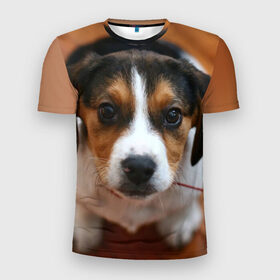 Мужская футболка 3D спортивная с принтом Щеночек в Петрозаводске, 100% полиэстер с улучшенными характеристиками | приталенный силуэт, круглая горловина, широкие плечи, сужается к линии бедра | Тематика изображения на принте: dog | бигль | пес | собака | щеночек