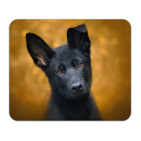 Коврик прямоугольный с принтом Doggy в Петрозаводске, натуральный каучук | размер 230 х 185 мм; запечатка лицевой стороны | dog | овчарка | пес | собака | черная овчарка | щеночек