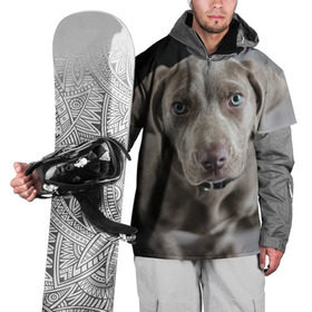Накидка на куртку 3D с принтом Puppy в Петрозаводске, 100% полиэстер |  | dog | веймаранер | пес | собака | щеночек