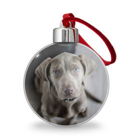 Ёлочный шар с принтом Puppy в Петрозаводске, Пластик | Диаметр: 77 мм | Тематика изображения на принте: dog | веймаранер | пес | собака | щеночек