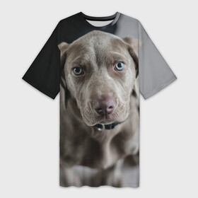 Платье-футболка 3D с принтом Puppy в Петрозаводске,  |  | dog | веймаранер | пес | собака | щеночек