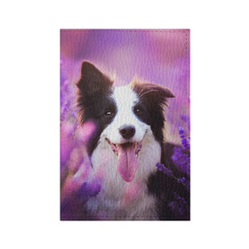 Обложка для паспорта матовая кожа с принтом Happy в Петрозаводске, натуральная матовая кожа | размер 19,3 х 13,7 см; прозрачные пластиковые крепления | Тематика изображения на принте: dog | бордер колли | пес | собака