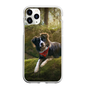 Чехол для iPhone 11 Pro матовый с принтом Лес в Петрозаводске, Силикон |  | Тематика изображения на принте: dog | бордер колли | пес | собака