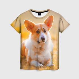 Женская футболка 3D с принтом Взгляд в Петрозаводске, 100% полиэфир ( синтетическое хлопкоподобное полотно) | прямой крой, круглый вырез горловины, длина до линии бедер | dog | вельш корги | корги | пес | собака