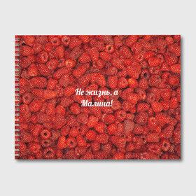 Альбом для рисования с принтом Не жизнь а Малина! в Петрозаводске, 100% бумага
 | матовая бумага, плотность 200 мг. | красный | малина | надпись | текстуры | ягоды