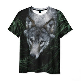 Мужская футболка 3D с принтом Волк в траве в Петрозаводске, 100% полиэфир | прямой крой, круглый вырез горловины, длина до линии бедер | природа | серый | хищник