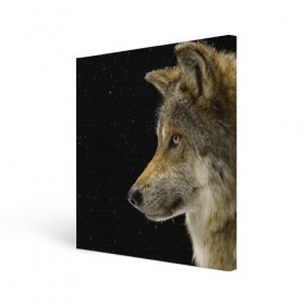 Холст квадратный с принтом Волк и звезды в Петрозаводске, 100% ПВХ |  | животные | зверь | серый | хищник
