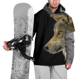 Накидка на куртку 3D с принтом Волк и звезды в Петрозаводске, 100% полиэстер |  | животные | зверь | серый | хищник