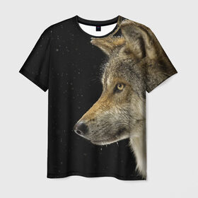 Мужская футболка 3D с принтом Волк и звезды в Петрозаводске, 100% полиэфир | прямой крой, круглый вырез горловины, длина до линии бедер | животные | зверь | серый | хищник