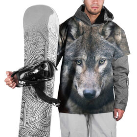 Накидка на куртку 3D с принтом Серый волк в Петрозаводске, 100% полиэстер |  | аука | бирюк | волк | волчара | волчица | волчок | глаза | животное | животные | зверь | зеленые | койот | лес | млекопитающее | природа | санитар леса | серый | уши | фауна | хищник | черный | шакал