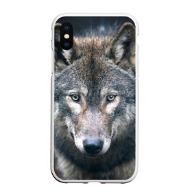 Чехол для iPhone XS Max матовый с принтом Серый волк в Петрозаводске, Силикон | Область печати: задняя сторона чехла, без боковых панелей | аука | бирюк | волк | волчара | волчица | волчок | глаза | животное | животные | зверь | зеленые | койот | лес | млекопитающее | природа | санитар леса | серый | уши | фауна | хищник | черный | шакал