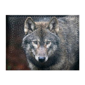 Обложка для студенческого билета с принтом Серый волк в Петрозаводске, натуральная кожа | Размер: 11*8 см; Печать на всей внешней стороне | Тематика изображения на принте: аука | бирюк | волк | волчара | волчица | волчок | глаза | животное | животные | зверь | зеленые | койот | лес | млекопитающее | природа | санитар леса | серый | уши | фауна | хищник | черный | шакал