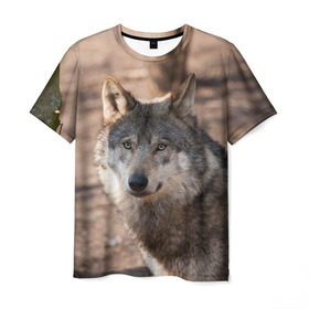Мужская футболка 3D с принтом Серый волк в Петрозаводске, 100% полиэфир | прямой крой, круглый вырез горловины, длина до линии бедер | аука | бирюк | волк | волчара | волчица | волчок | глаза | животное | животные | зверь | зеленые | койот | лес | млекопитающее | природа | санитар леса | серый | уши | фауна | хищник | черный | шакал