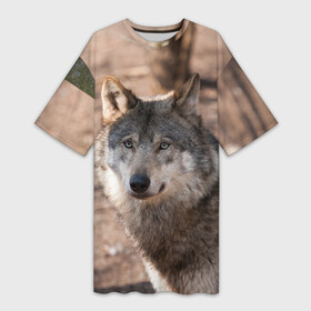 Платье-футболка 3D с принтом Серый волк в Петрозаводске,  |  | аука | бирюк | волк | волчара | волчица | волчок | глаза | животное | животные | зверь | зеленые | койот | лес | млекопитающее | природа | санитар леса | серый | уши | фауна | хищник | черный | шакал