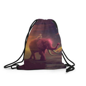 Рюкзак-мешок 3D с принтом Индия в Петрозаводске, 100% полиэстер | плотность ткани — 200 г/м2, размер — 35 х 45 см; лямки — толстые шнурки, застежка на шнуровке, без карманов и подкладки | elephant | hipster | индия | йога | слон | хипстер