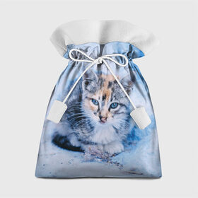 Подарочный 3D мешок с принтом Трехцветный котенок зимой в Петрозаводске, 100% полиэстер | Размер: 29*39 см | грустный | добрый | животное | киса | киска кися | кот | котенок | котэ | кошка | красивый | лапа | лапка | ласковый | милый | моська | мурлыка | прикольный | смешной | унылый | усатый | шерсть