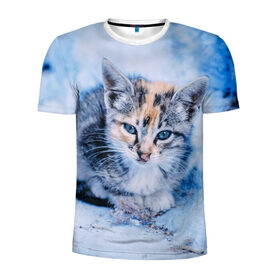 Мужская футболка 3D спортивная с принтом Трехцветный котенок зимой в Петрозаводске, 100% полиэстер с улучшенными характеристиками | приталенный силуэт, круглая горловина, широкие плечи, сужается к линии бедра | Тематика изображения на принте: грустный | добрый | животное | киса | киска кися | кот | котенок | котэ | кошка | красивый | лапа | лапка | ласковый | милый | моська | мурлыка | прикольный | смешной | унылый | усатый | шерсть