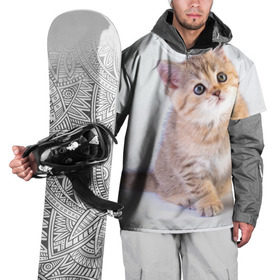 Накидка на куртку 3D с принтом Любопытный котенок в Петрозаводске, 100% полиэстер |  | грустный | добрый | животное | киса | киска кися | кот | котенок | котэ | кошка | красивый | лапа | лапка | ласковый | милый | моська | мурлыка | прикольный | смешной | унылый | усатый | шерсть