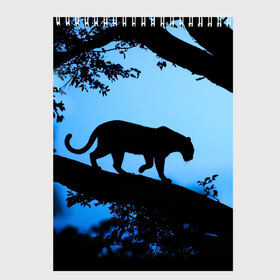Скетчбук с принтом Чёрная пантера в Петрозаводске, 100% бумага
 | 48 листов, плотность листов — 100 г/м2, плотность картонной обложки — 250 г/м2. Листы скреплены сверху удобной пружинной спиралью | Тематика изображения на принте: африка | вечер | дерево | дикая кошка | закат | леопард | сафари | ягуар
