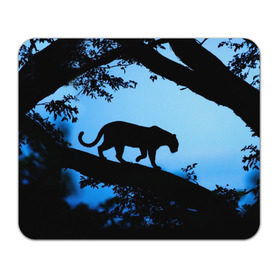 Коврик прямоугольный с принтом Чёрная пантера в Петрозаводске, натуральный каучук | размер 230 х 185 мм; запечатка лицевой стороны | Тематика изображения на принте: африка | вечер | дерево | дикая кошка | закат | леопард | сафари | ягуар