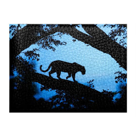Обложка для студенческого билета с принтом Чёрная пантера в Петрозаводске, натуральная кожа | Размер: 11*8 см; Печать на всей внешней стороне | Тематика изображения на принте: африка | вечер | дерево | дикая кошка | закат | леопард | сафари | ягуар
