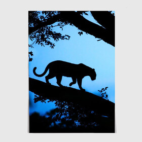 Постер с принтом Чёрная пантера в Петрозаводске, 100% бумага
 | бумага, плотность 150 мг. Матовая, но за счет высокого коэффициента гладкости имеет небольшой блеск и дает на свету блики, но в отличии от глянцевой бумаги не покрыта лаком | африка | вечер | дерево | дикая кошка | закат | леопард | сафари | ягуар