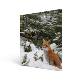 Холст квадратный с принтом Лиса в зимнем лесу в Петрозаводске, 100% ПВХ |  | fox | животное | зверь | красивая | лес | лис | лиса | лисенок | лисица | лисичка | мех | патрикеевна | песец | плутовка | прикольная | природа | рыжая | рыжий цвет | сказка | хвост | хитрая | хищник
