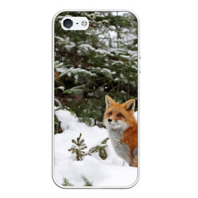 Чехол для iPhone 5/5S матовый с принтом Лиса в зимнем лесу в Петрозаводске, Силикон | Область печати: задняя сторона чехла, без боковых панелей | Тематика изображения на принте: fox | животное | зверь | красивая | лес | лис | лиса | лисенок | лисица | лисичка | мех | патрикеевна | песец | плутовка | прикольная | природа | рыжая | рыжий цвет | сказка | хвост | хитрая | хищник