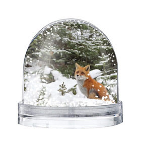 Снежный шар с принтом Лиса в зимнем лесу в Петрозаводске, Пластик | Изображение внутри шара печатается на глянцевой фотобумаге с двух сторон | fox | животное | зверь | красивая | лес | лис | лиса | лисенок | лисица | лисичка | мех | патрикеевна | песец | плутовка | прикольная | природа | рыжая | рыжий цвет | сказка | хвост | хитрая | хищник