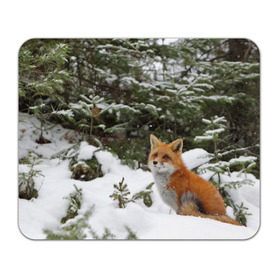 Коврик прямоугольный с принтом Лиса в зимнем лесу в Петрозаводске, натуральный каучук | размер 230 х 185 мм; запечатка лицевой стороны | Тематика изображения на принте: fox | животное | зверь | красивая | лес | лис | лиса | лисенок | лисица | лисичка | мех | патрикеевна | песец | плутовка | прикольная | природа | рыжая | рыжий цвет | сказка | хвост | хитрая | хищник