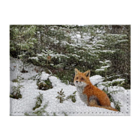 Обложка для студенческого билета с принтом Лиса в зимнем лесу в Петрозаводске, натуральная кожа | Размер: 11*8 см; Печать на всей внешней стороне | Тематика изображения на принте: fox | животное | зверь | красивая | лес | лис | лиса | лисенок | лисица | лисичка | мех | патрикеевна | песец | плутовка | прикольная | природа | рыжая | рыжий цвет | сказка | хвост | хитрая | хищник