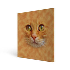 Холст квадратный с принтом Котик в Петрозаводске, 100% ПВХ |  | Тематика изображения на принте: животные | кот | котенок | котик | кошка