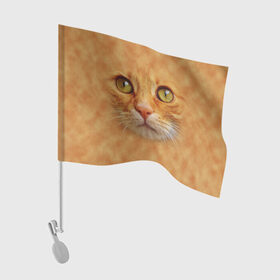 Флаг для автомобиля с принтом Котик в Петрозаводске, 100% полиэстер | Размер: 30*21 см | животные | кот | котенок | котик | кошка