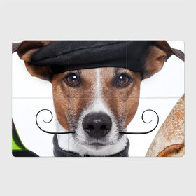 Магнитный плакат 3Х2 с принтом Джек рассел - мексиканец в Петрозаводске, Полимерный материал с магнитным слоем | 6 деталей размером 9*9 см | Тематика изображения на принте: джек | любимец | пес | песик | питомец | рассел | собака | собаки | собачка | терьер