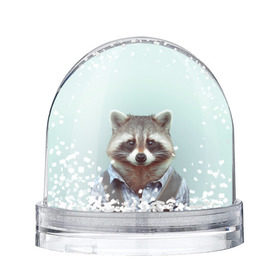 Снежный шар с принтом Хипстер Енот в Петрозаводске, Пластик | Изображение внутри шара печатается на глянцевой фотобумаге с двух сторон | raccoon | енот