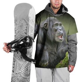Накидка на куртку 3D с принтом Шимпанзе в Петрозаводске, 100% полиэстер |  | Тематика изображения на принте: животные | обезьяна 