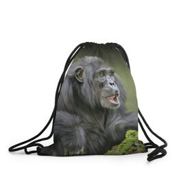 Рюкзак-мешок 3D с принтом Шимпанзе в Петрозаводске, 100% полиэстер | плотность ткани — 200 г/м2, размер — 35 х 45 см; лямки — толстые шнурки, застежка на шнуровке, без карманов и подкладки | животные | обезьяна 