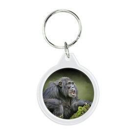 Брелок круглый с принтом Шимпанзе в Петрозаводске, пластик и полированная сталь | круглая форма, металлическое крепление в виде кольца | животные | обезьяна 