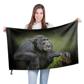 Флаг 3D с принтом Шимпанзе в Петрозаводске, 100% полиэстер | плотность ткани — 95 г/м2, размер — 67 х 109 см. Принт наносится с одной стороны | животные | обезьяна 