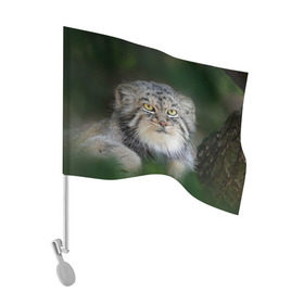 Флаг для автомобиля с принтом Манул в Петрозаводске, 100% полиэстер | Размер: 30*21 см | всеядный | детеныш | дикие | животные | звери | зверята | кот | манул | медведь | хищник