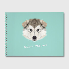 Альбом для рисования с принтом Alaskan Malamute в Петрозаводске, 100% бумага
 | матовая бумага, плотность 200 мг. | alaskan malamute | dog | puppy | маламут | собака | хаски | щенок