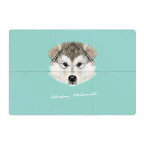 Магнитный плакат 3Х2 с принтом Alaskan Malamute в Петрозаводске, Полимерный материал с магнитным слоем | 6 деталей размером 9*9 см | alaskan malamute | dog | puppy | маламут | собака | хаски | щенок