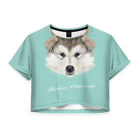 Женская футболка 3D укороченная с принтом Alaskan Malamute в Петрозаводске, 100% полиэстер | круглая горловина, длина футболки до линии талии, рукава с отворотами | alaskan malamute | dog | puppy | маламут | собака | хаски | щенок