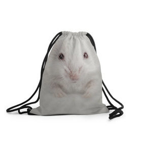 Рюкзак-мешок 3D с принтом Крыса в Петрозаводске, 100% полиэстер | плотность ткани — 200 г/м2, размер — 35 х 45 см; лямки — толстые шнурки, застежка на шнуровке, без карманов и подкладки | животные | крыса | мордочка | мышка | мышь | природа