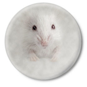 Значок с принтом Крыса в Петрозаводске,  металл | круглая форма, металлическая застежка в виде булавки | Тематика изображения на принте: животные | крыса | мордочка | мышка | мышь | природа