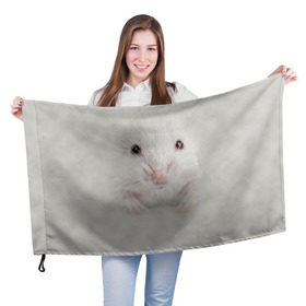 Флаг 3D с принтом Крыса в Петрозаводске, 100% полиэстер | плотность ткани — 95 г/м2, размер — 67 х 109 см. Принт наносится с одной стороны | животные | крыса | мордочка | мышка | мышь | природа
