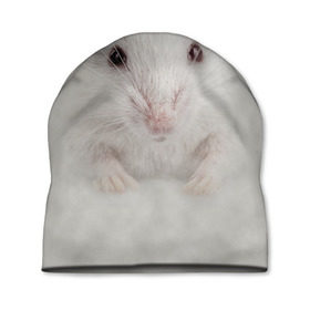 Шапка 3D с принтом Крыса в Петрозаводске, 100% полиэстер | универсальный размер, печать по всей поверхности изделия | животные | крыса | мордочка | мышка | мышь | природа