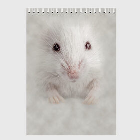 Скетчбук с принтом Крыса в Петрозаводске, 100% бумага
 | 48 листов, плотность листов — 100 г/м2, плотность картонной обложки — 250 г/м2. Листы скреплены сверху удобной пружинной спиралью | животные | крыса | мордочка | мышка | мышь | природа