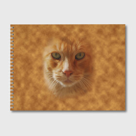 Альбом для рисования с принтом Рыжий котик в Петрозаводске, 100% бумага
 | матовая бумага, плотность 200 мг. | животные | кот | котенок | котик | кошка | мордочка | рыжий